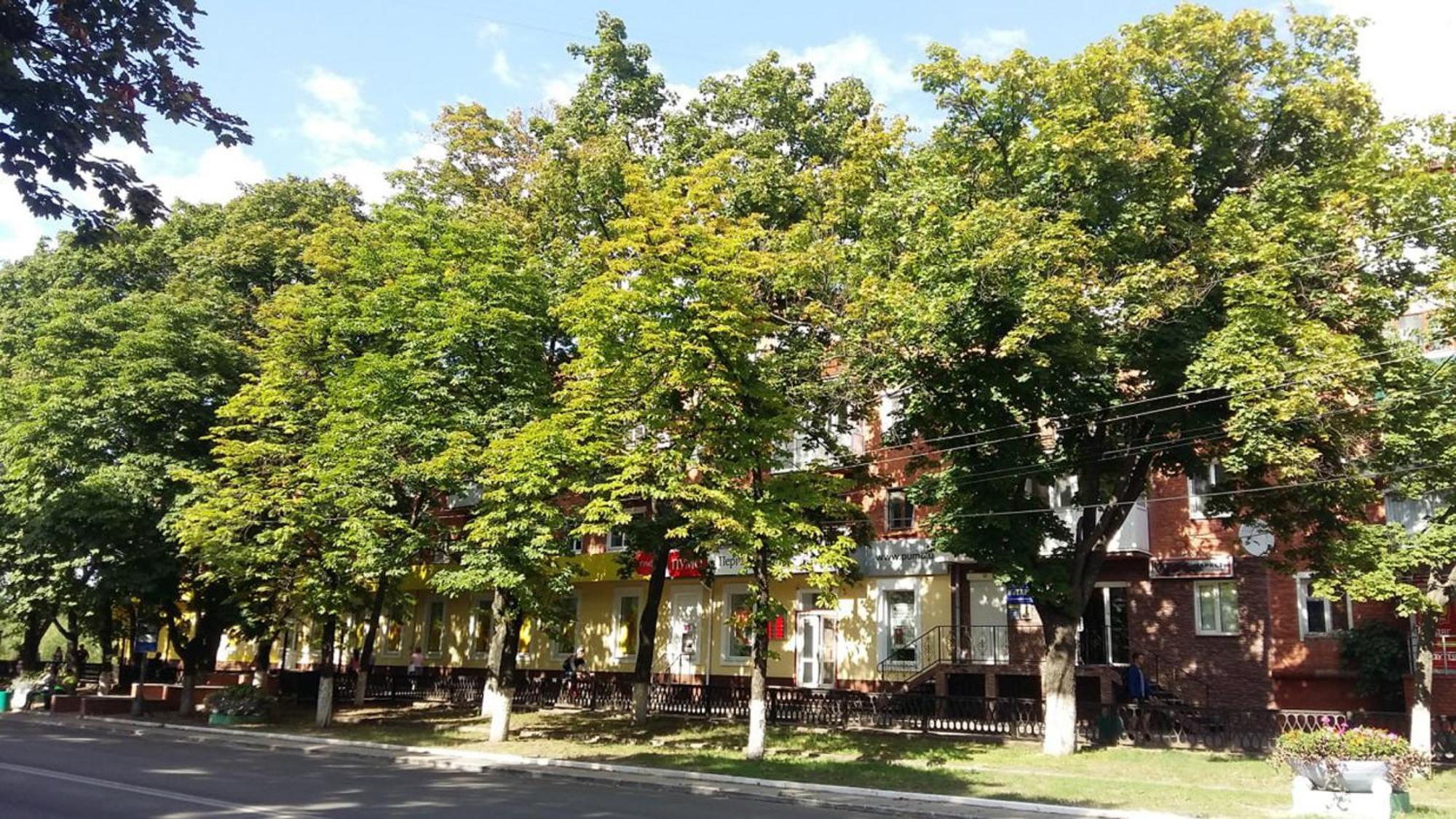 Уютная квартира Проспект Соборный 61 Oleksandriia Экстерьер фото
